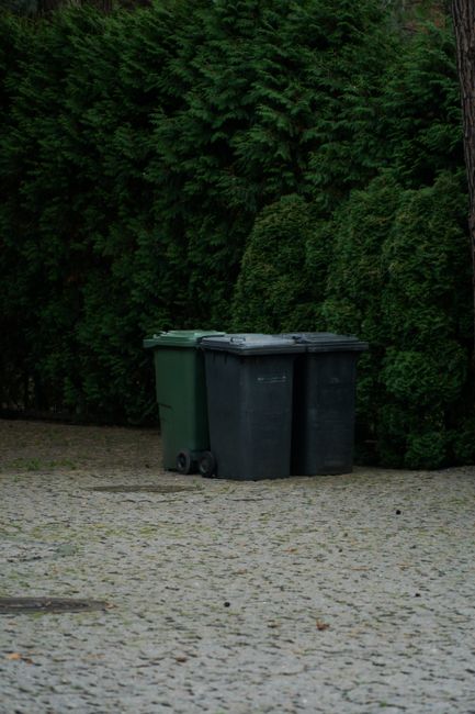 Three large wheeled trash bins, one green and two black, are positioned side by side on a paved driveway in front of a tall, dense hedge of green foliage. The bins are placed near the edge of the property, with their lids closed, indicating they are awaiting collection or disposal. The surface of the driveway consists of light-colored stones or concrete paving, and the scene appears to be outdoors during daylight hours. This setup could be part of a house removal or garden clearance process handled by professional services such as Man with Van Osidge, which offers home relocation and waste disposal solutions relevant to the page about large garden waste and shed disposal options in Osidge.